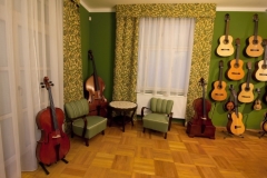 dekorace_PARISA-GUITAR_CENTRE_Vitacek_1